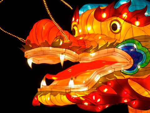 Fototapeta Close up of the head of a dragon