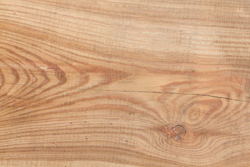 Fototapeta premium Larch tree wood texture