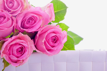 rosa Rosen Blumenstrauss in der Geschenkbox