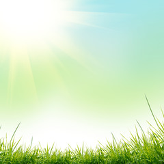 Obraz na płótnie Canvas green grass with on the green background