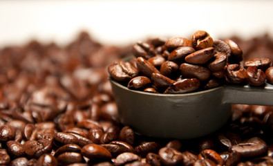 Coffee Bean