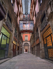 Fototapeta premium Pasage in Barcelona. Spain.