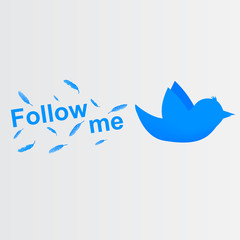 Follow me bird - 49106245