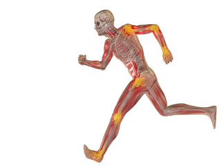 High resolution conceptual 3D human with inflammation