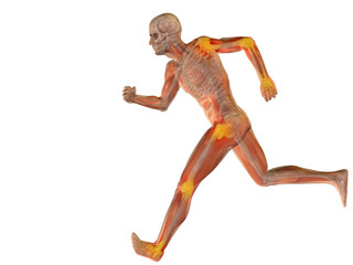 High resolution conceptual 3D human with inflammation