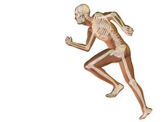 High resolution conceptual human for anatomy,medicine, health