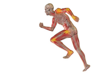High resolution conceptual 3D human with inflammation