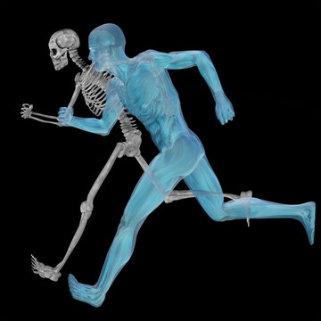 High resolution conceptual human for anatomy,medicine and health