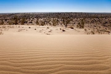 Dunes in the Desert