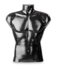Männliche Büste als Torso