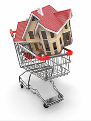 Property market. House in shopping cart