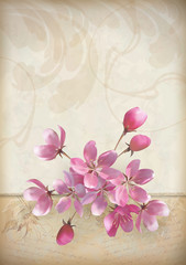 Realistic vector cherry blossom flower arrangement