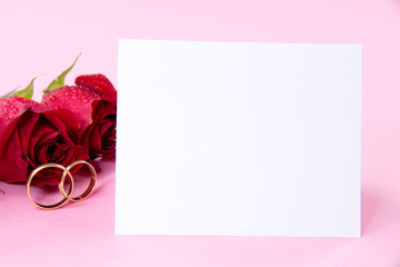 Blank white paper with red roses with water drops and rings