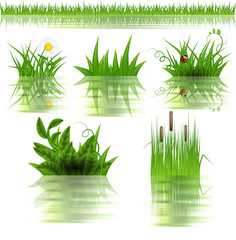 Grass set with reflection in water.