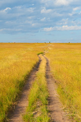 Path crossing the savannah