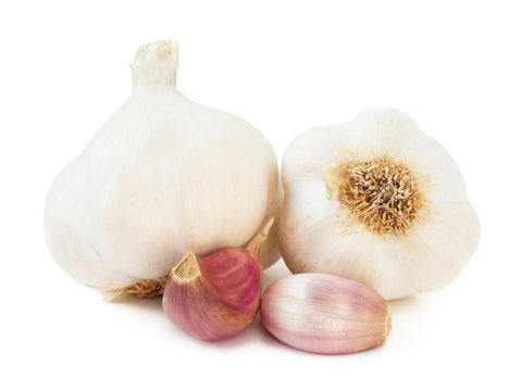 heads of garlic isolated on white background