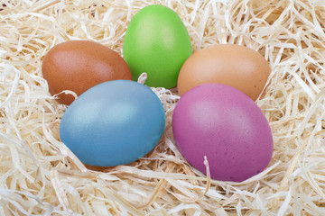 Fototapeta na wymiar ester eggs