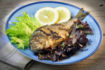 sea bream with salad