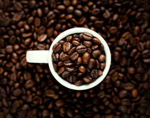 coffee beans