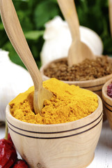 Different kinds of seasonings and herbs