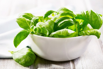 green basil leaves