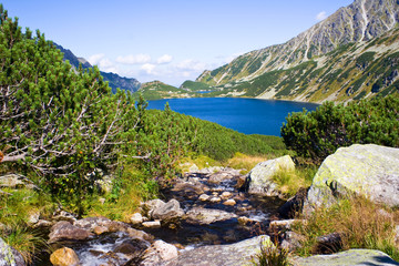 Plakaty  Lato w dolinie 5 jezior w Tatrach Wysokich