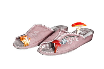 Closeup of slippers with mushrooms