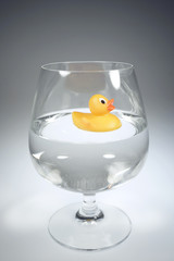 Ente im Glas