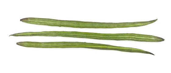 Photo sur Plexiglas Légumes frais Drumstick Vegetable or Moringa
