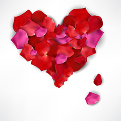 Beautiful heart made from rose petals on white. Vector backgroun