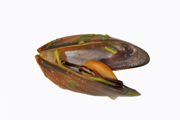 cooked mussels