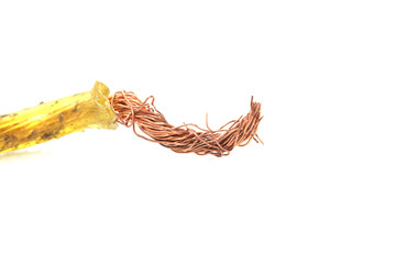 copper wire on a white background. macro