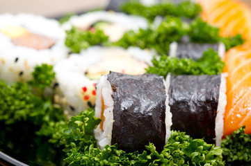 Japan Sushi closeup  background
