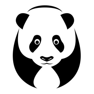 Vector image of an panda on white background