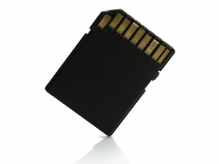 SD computer memory card isolated on white background