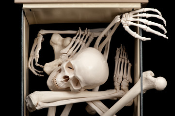 Skeleton in drawer