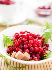 Cranberry with cane sugar in a white bowl