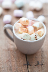 Hot chocolate and marshmallows