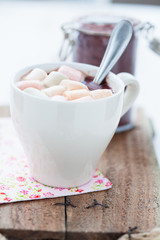 Obraz na płótnie Canvas Hot chocolate and marshmallows