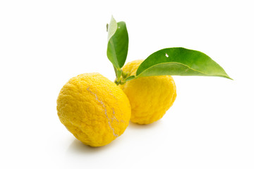 Japanese citron fruits isolated on white background