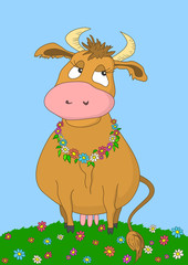 Beauty cow, without gradients