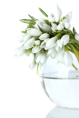 beautiful bouquet of snowdrops in transparent vase isolated