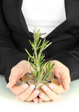 Woman hands with green plant and coins isolated on white.