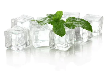 Küchenrückwand glas motiv Eis mit Minze isoliert auf weiß © Africa Studio