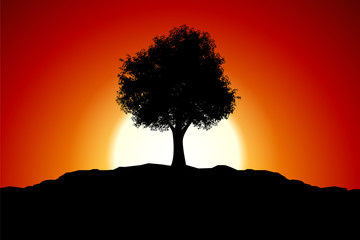 Sunset with tree silhouette