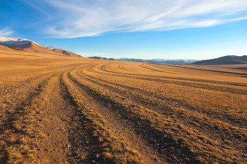 Fototapeta na wymiar Droga w pustyni
