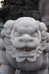 Fototapeta premium Guardian lion-dog at Shinto shrine@こまいぬ
