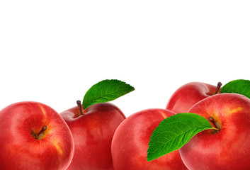 Close-up of many red juicy apples