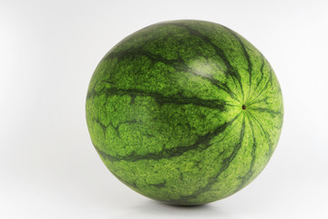 watermelon isolated