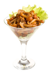 agaric honey at plate